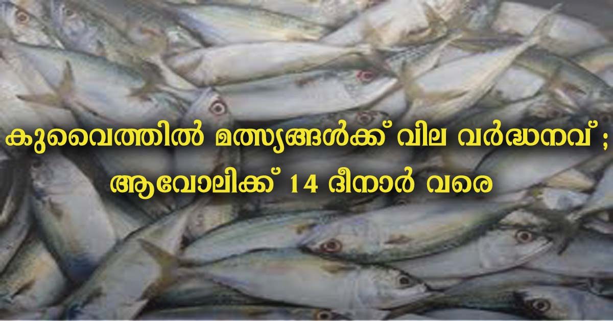 price hike for fishes