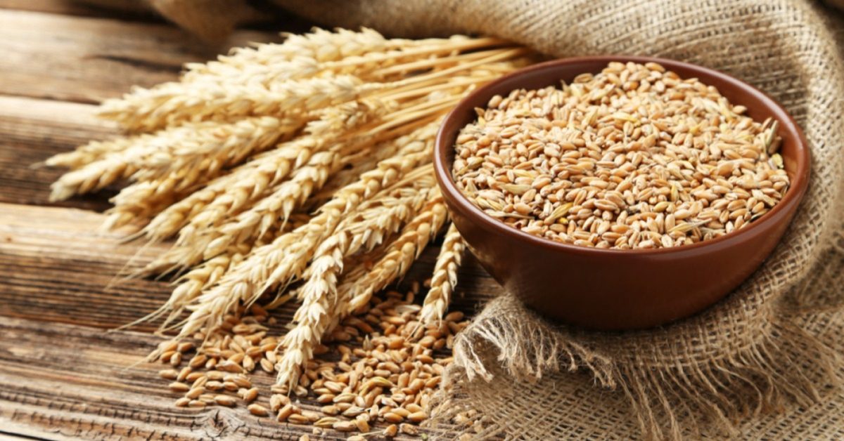wheat ban
