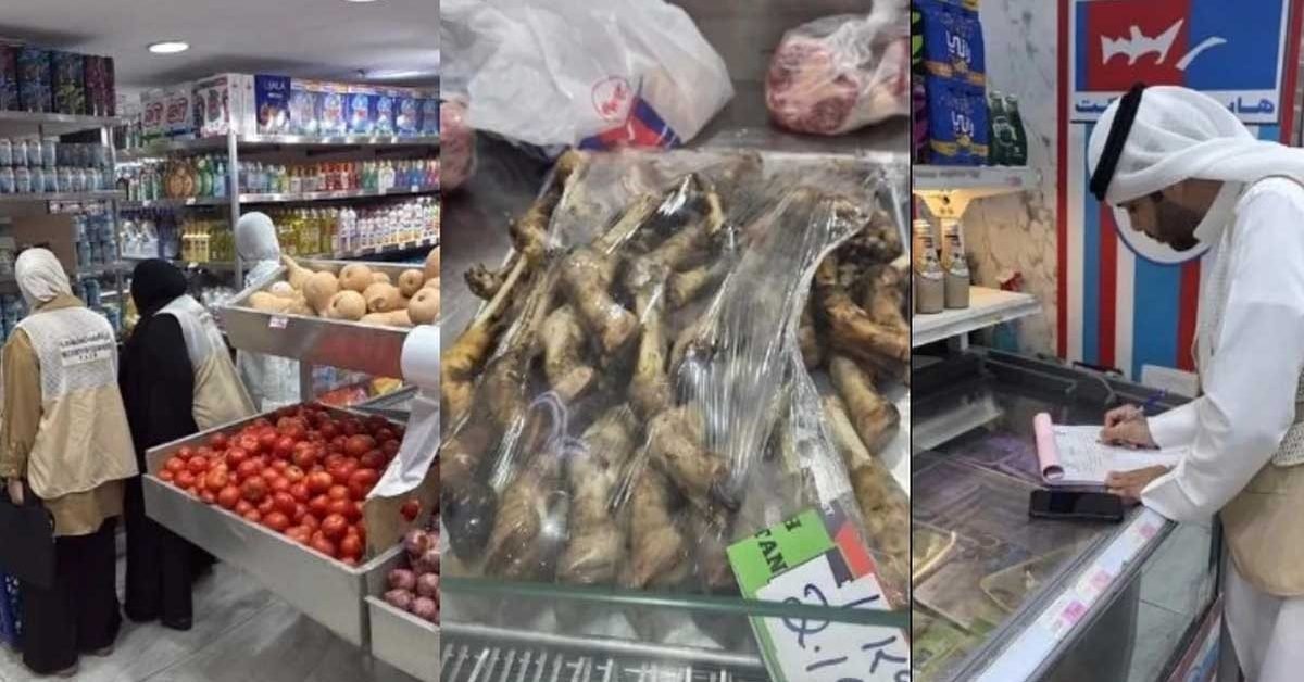 food inspection